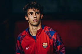 浙江队快攻效率联盟领先